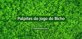 0964 no jogo do bicho