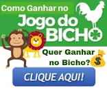 9 no jogo bicho