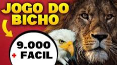 Bicho Mania ♧ A maior banca de jogo do bicho online no Brasil