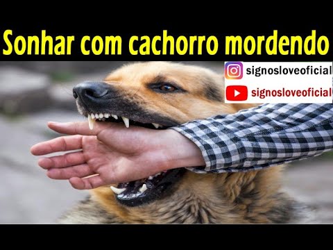 Cachorro tentando morder homem jogo do bicho