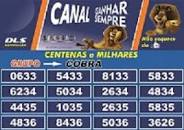 Qual é o número da cobra no jogo do bicho? Confira