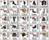 Grupo 20 jogo do bicho