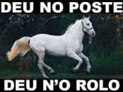 Jogo do bicho milhar 2000