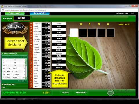 Jogo do bicho on line