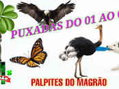 Jogo do bicho puxadas dona maria