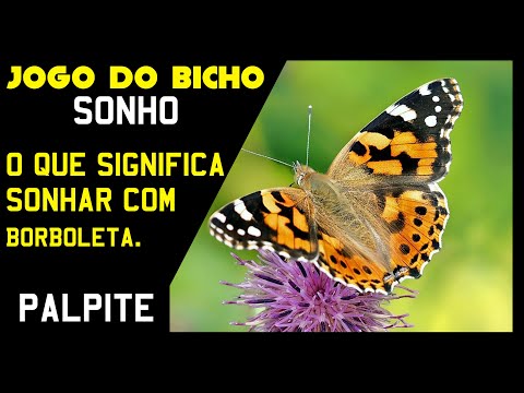 Jogo do bicho sonhar com mandruva qual e o significado