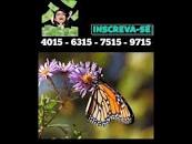 Milhar da borboleta do jogo do bicho