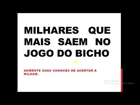 Qual a milhar que mais sai no jogo do bicho - Jornal de Brasília