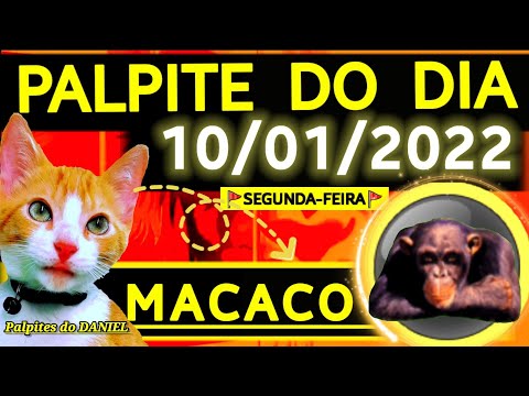 Palpite do jogo do bicho 22 10 2022