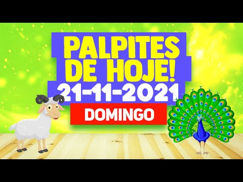 Palpite do jogo do bicho do dia 21 de novembro