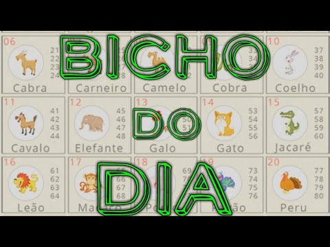 Palpite jogo do bicho 07 11 19