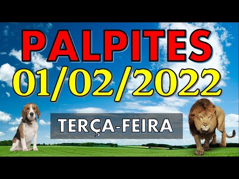 Palpite para jogo do bicho para dia sábado dia