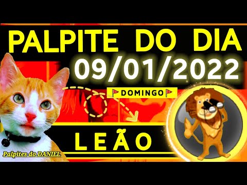 Palpite pra hoje jogo do bicho dia 09 09 2022