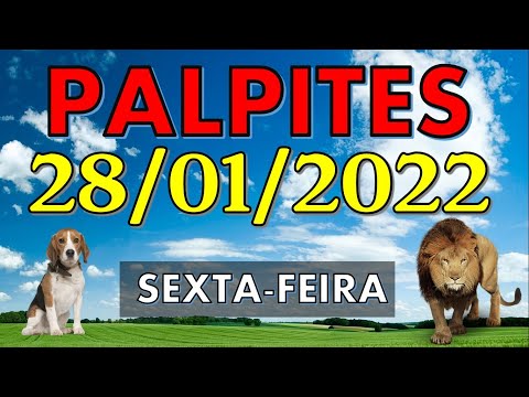 Palpites do jogo do bicho dia28 11 2022