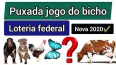 Puxada jogo do bicho federal