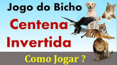 Quanto paga a centena no Jogo do Bicho? 🇧🇷 Novo 2023