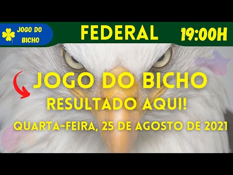 Resultado do jogo do bicho 08 11.sao paulo federal