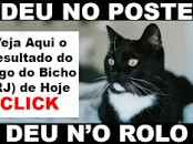 Resultado do jogo do bicho das 18 horas dia 28