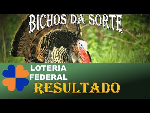 Resultado do jogo do bicho federal 13-02-19