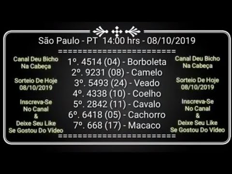 Resultado do jogo do bicho rj 13.11.19