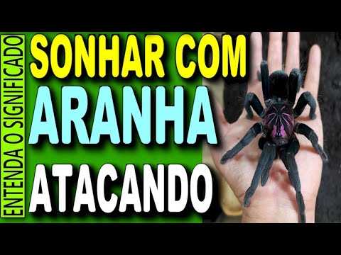 Significado de sonhar com aranha jogo do bicho