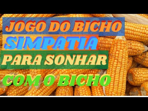 Simpatia para sonhar para jogar no jogo do bicho