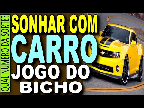 Sonha com carro jogo do bicho