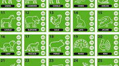 Sonhar com procissão no jogo do bicho