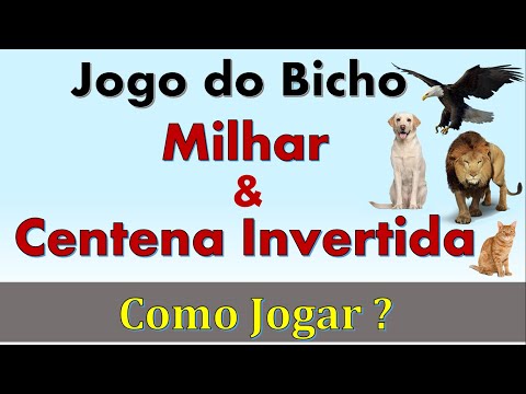 PALPITES DO JOGO DO BICHO ( MILHAR NO REFORÇO DA TARDE ) 
